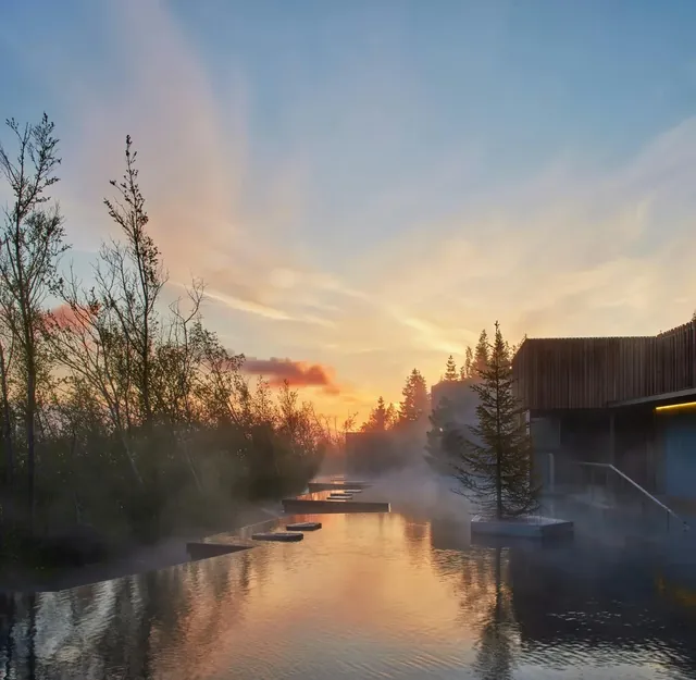 Forest Lagoon - Image 2