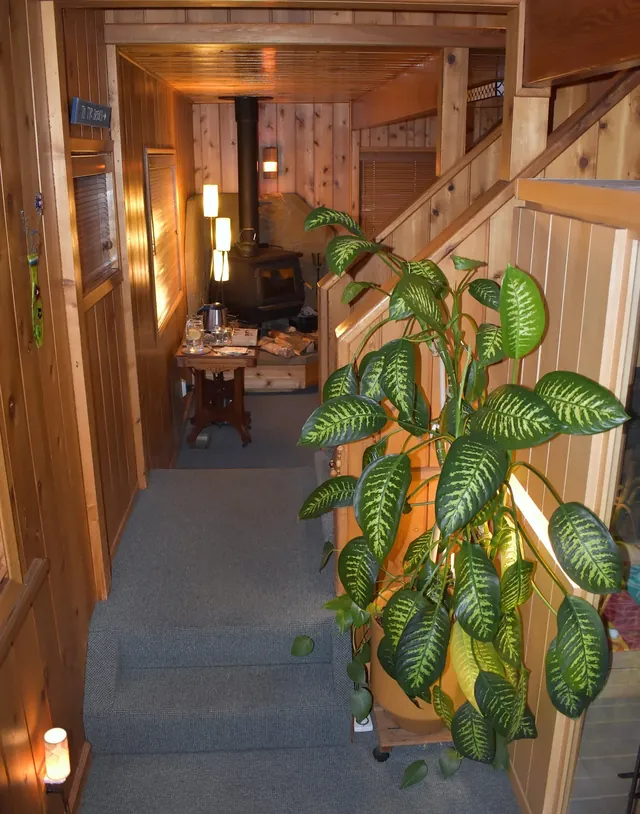Ravens Nest Spa Infrared Sauna - Image 2