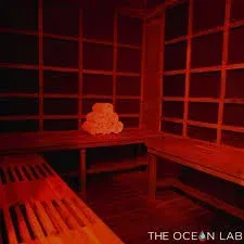 The Ocean Lab