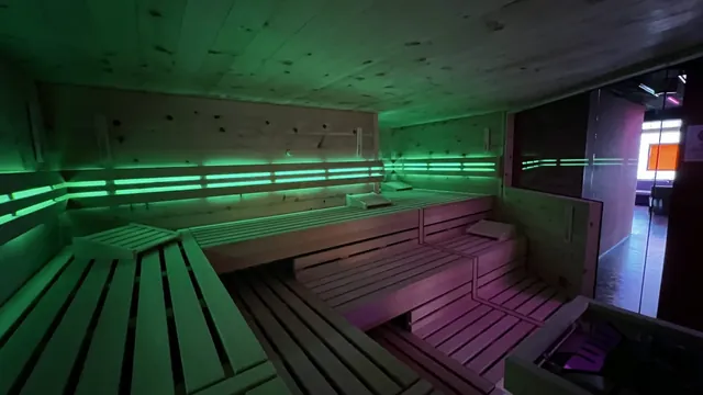 Sundeck Sauna Bern - Image 2