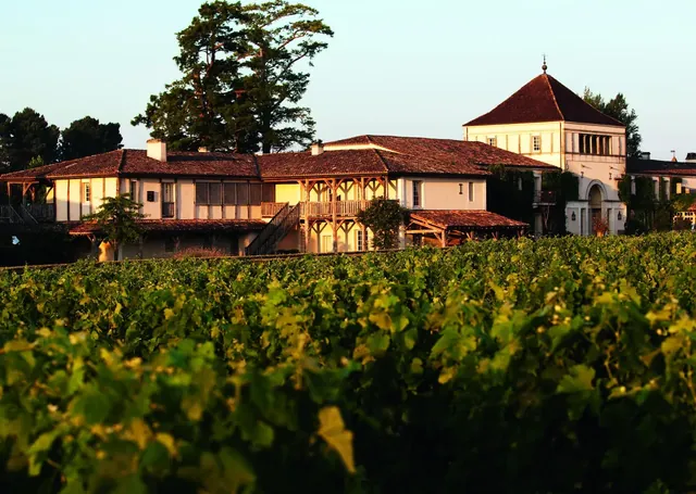 Les Sources de Caudalie – Spa Vinothérapie - Image 2