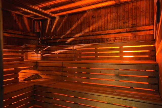 La Sauna 1969