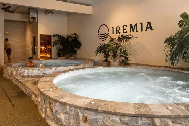 Iremia Recovery - Image 2