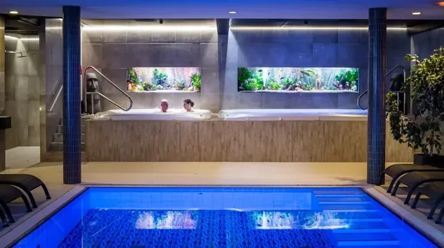 Thermen Dilbeek - Image 2