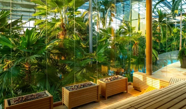 Therme București - Image 3