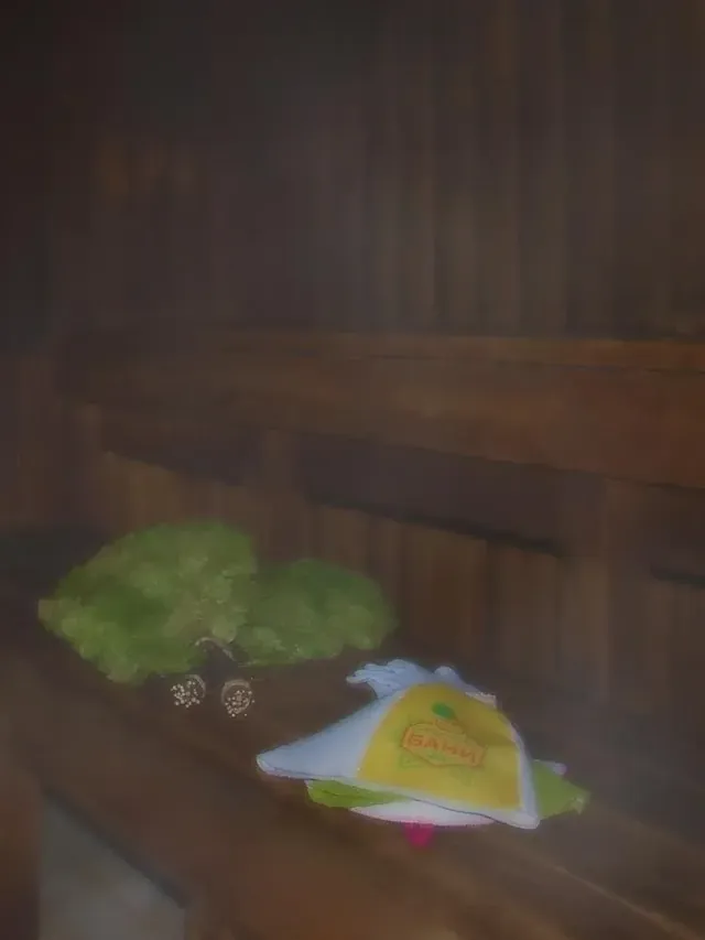 Oak Leaf European Sauna Club - Image 2