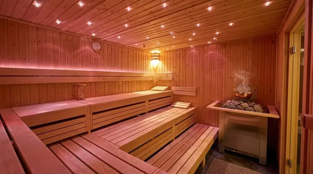 Sauna - Energy