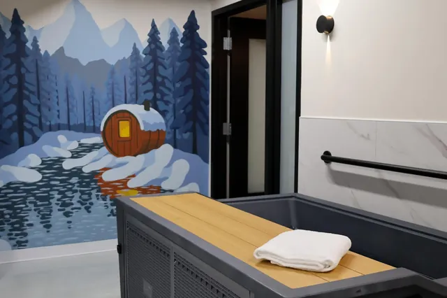 Immersion Sauna & Cold Plunge - Image 2
