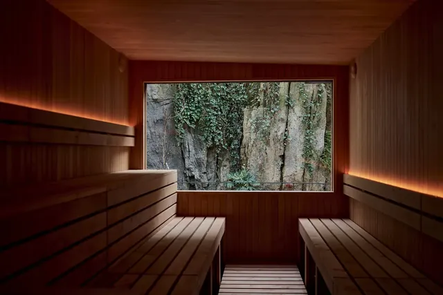 Hoco Sauna