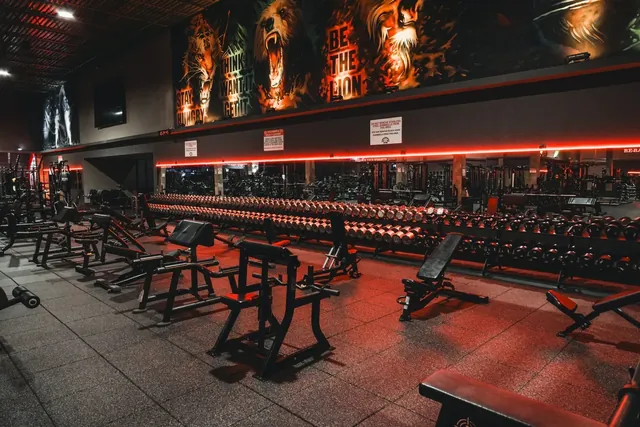 Powerhouse Gym Lee Trevino - Image 2