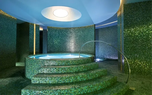 Laurea Spa, Savoy Palace - Image 2