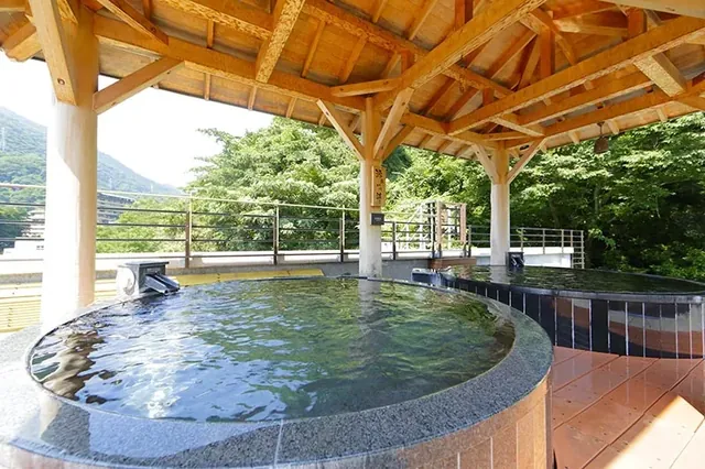 Hakone Yumoto Onsen Tenseien - Image 2