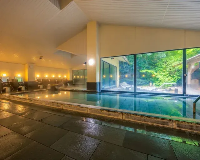 Yu-dokoro Soun at Yumoto Fujiya Hotel - Image 3