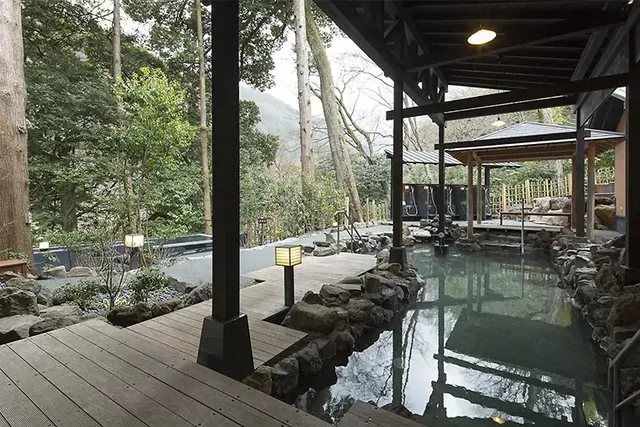 Hakone Yuryo - Image 2