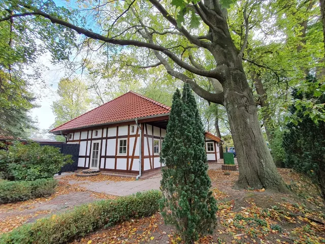 Stadtpark Sauna - Image 3