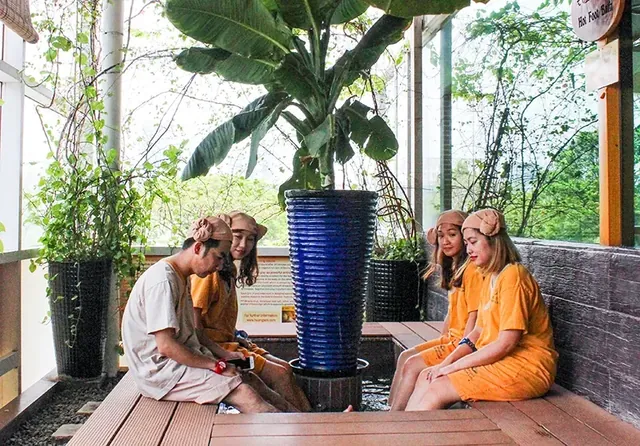 Golden Lotus Healing Land - Image 3