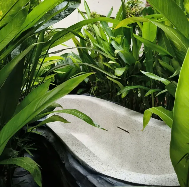 Onsen & Wellness Việt