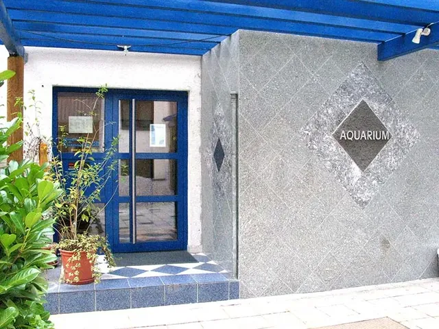 Aquarium-Sauna – Bild 2