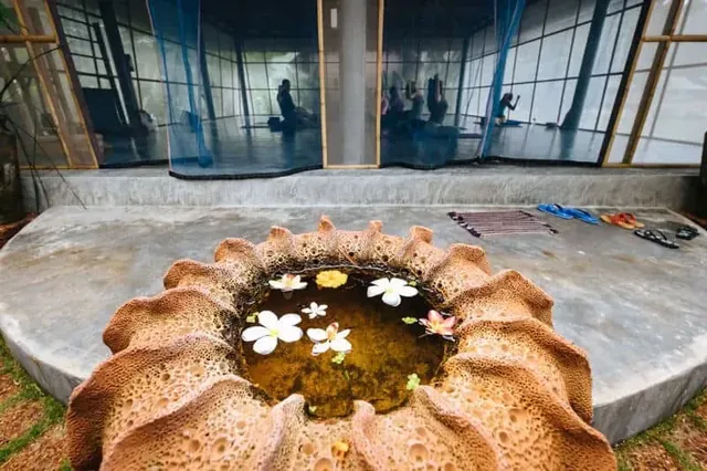 Orion Healing Centre - Image 2