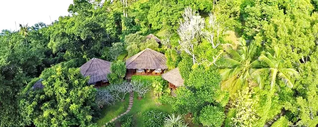 Tamarind Springs Forest Spa - Image 2