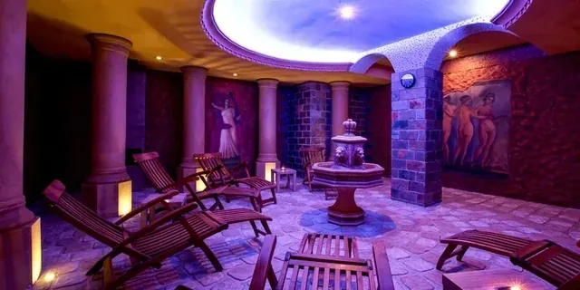 Wellness Privilege - Image 2