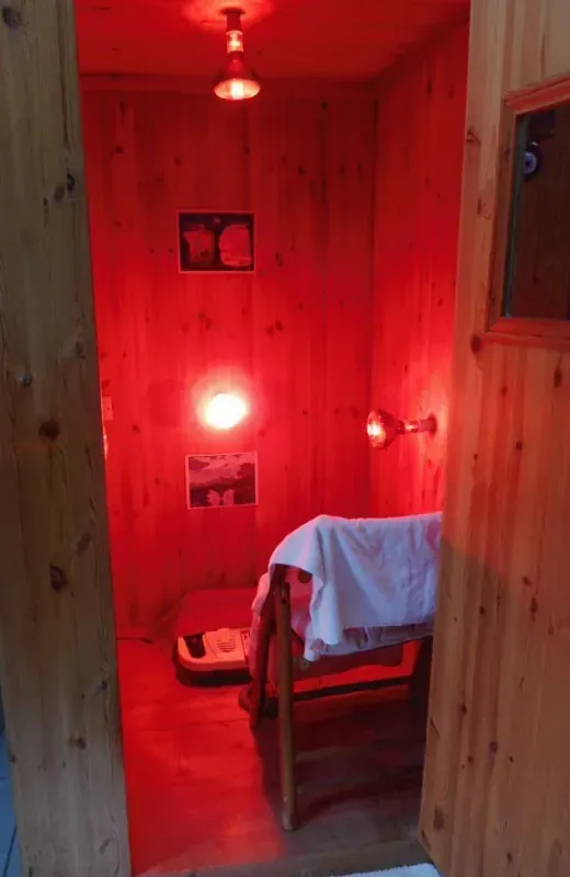 Da Vinci Infrared Sauna