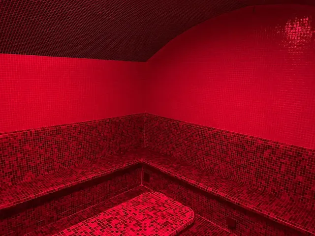 3Sauna - Image 2