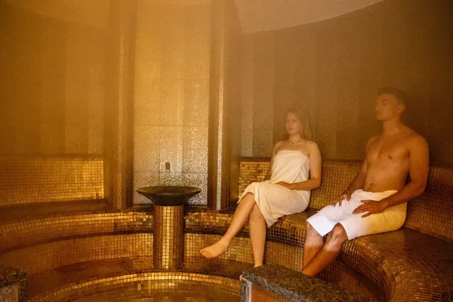 Wellness Harmonija