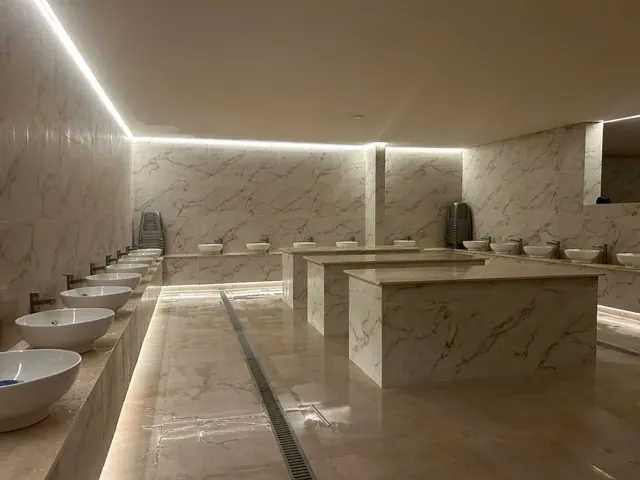 Le Petit Palais des Gratte-Ciel