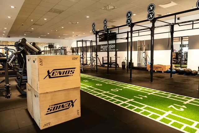 Locomotion Fitness Bodenheim