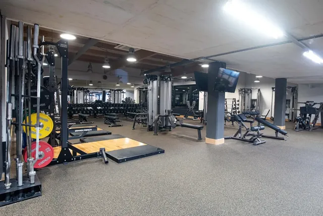 David Lloyd Málaga - Image 2