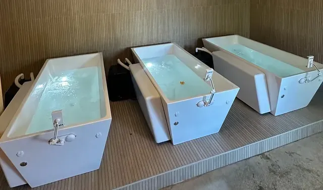 The Plunge & Sauna Method - Image 2