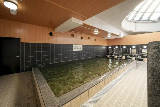 Gondo Onsen Therme DOME - Image 3