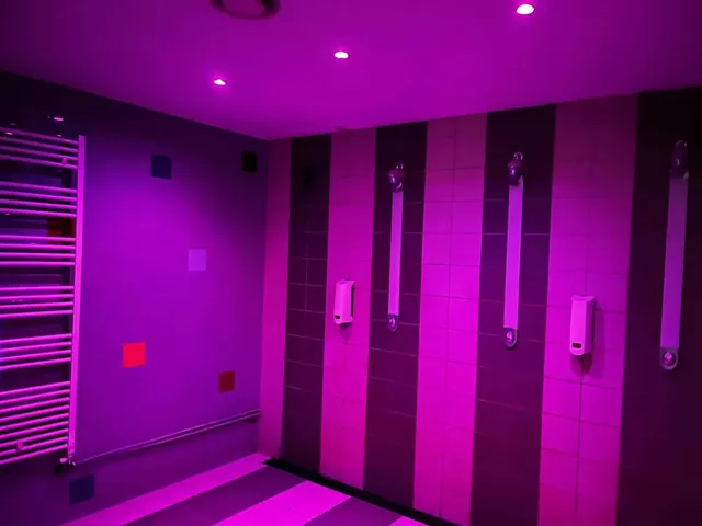 Sauna 51 - Image 3