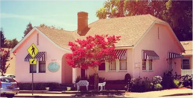 The Painted Lady Zen Den