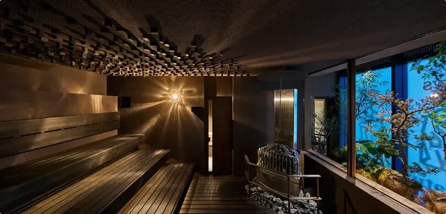 sauna100