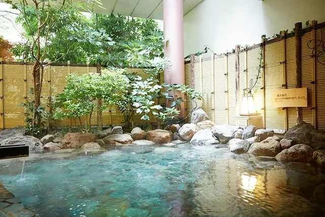 Kinugawa Onsen Hotel Yuri Sauna - Image 2