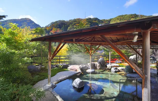 Hotel Sunshine Kinugawa Sauna
