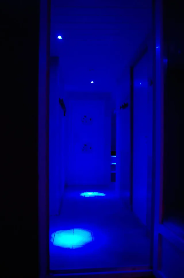 Rex Club Sauna - Image 2