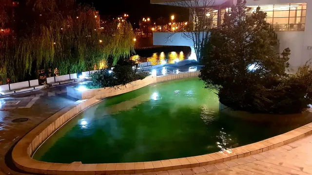 Continental Forum Oradea Sauna