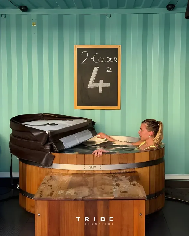 Tribe Sauna + Ice - Image 2