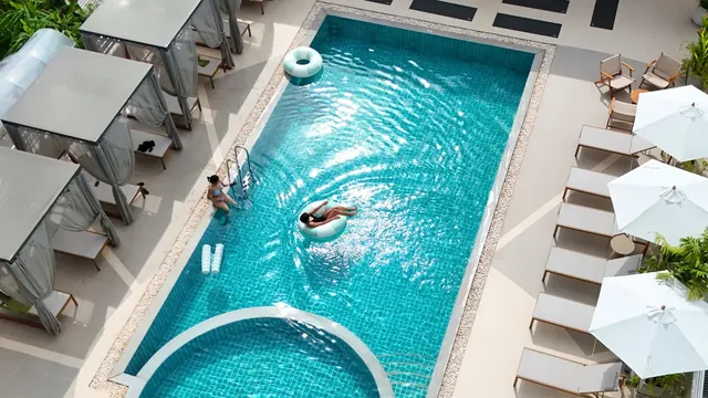 DIP on the Roof - Image 2