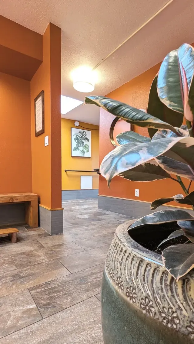 Common Ground Wellness Cooperative - Image 3
