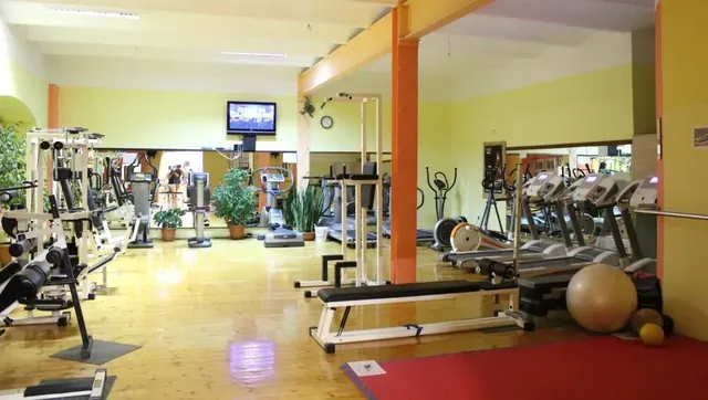 Erny’s Gym Finnish Sauna