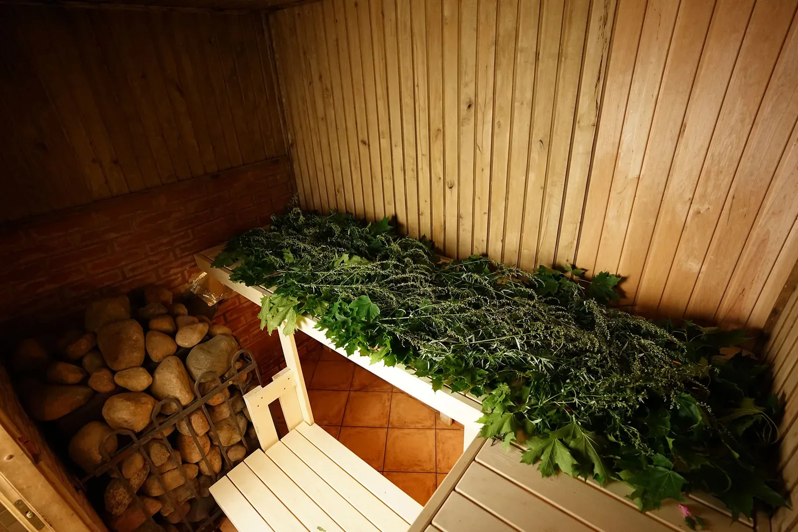 Sauna bench covered in fresh green herbs and branches