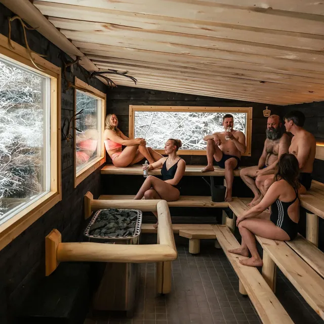 Roiske Arctic Sauna Retreat - Image 2