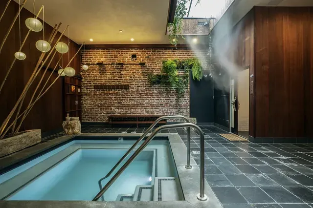 Onsen SF - Image 2