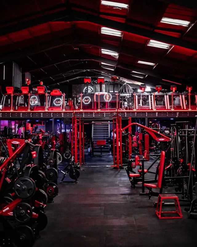 Evolution Fitness XL