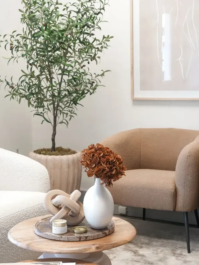 Bodi Therapi Stellenbosch