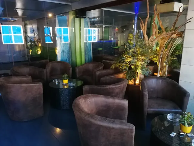 VIVA Sauna - Image 2